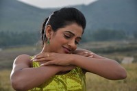 Shruthi Raj Photos
